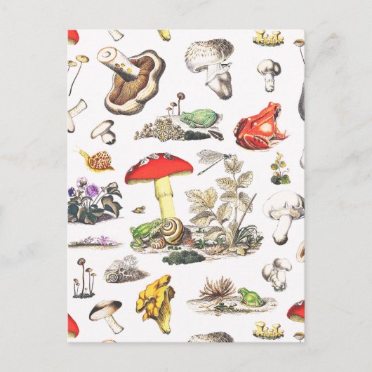 Cute Mushroom Frog Snail Forest Pattern Postkarte (Vorderseite)