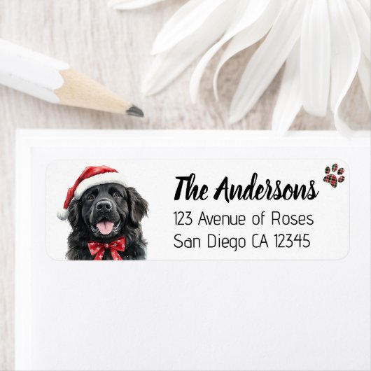 Cute Newfoundland Dog with Santa Hat (Insitu)