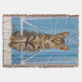 Cute Nosy Tabby Cat Kitten Sitting in a Blue Fence Decke (Vorderseite)