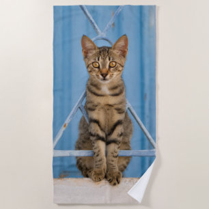 Cute Nosy Tabby Cat Kitten Sitting in a Blue Fence Strandtuch