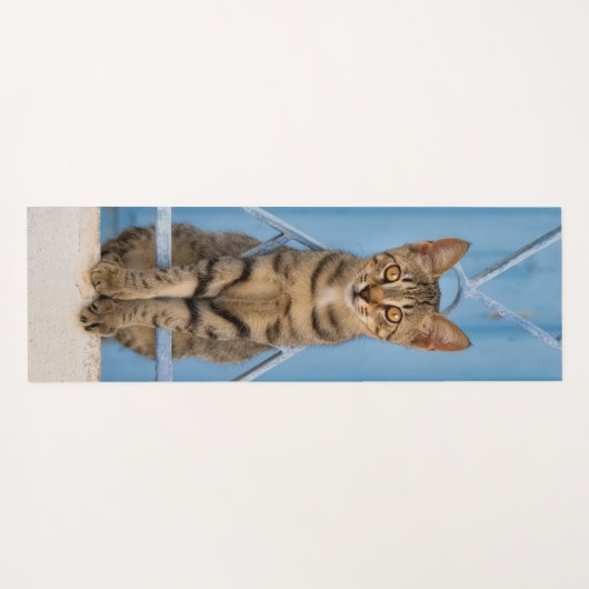 Cute Nosy Tabby Cat Kitten Sitting in a Blue Fence Yogamatte (Rückseite (Horizontal))