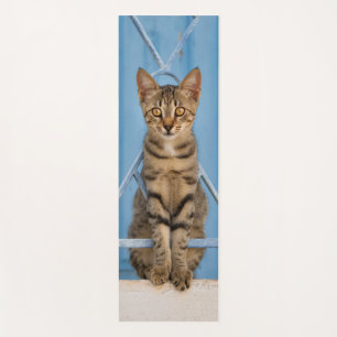 Cute Nosy Tabby Cat Kitten Sitting in a Blue Fence Yogamatte
