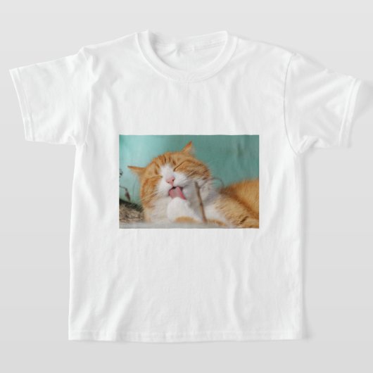 Cute Orange Cat Grooming T-Shirt (Ablage )