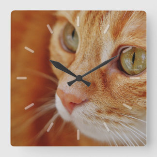 Cute Orange Tabby Cat Face Close Up Quadratische Wanduhr
