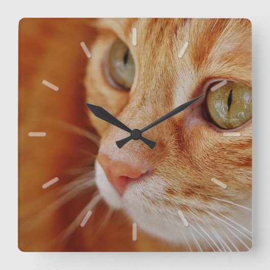 Cute Orange Tabby Cat Face Close Up Quadratische Wanduhr (Vorderseite)