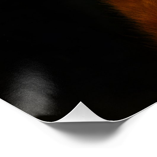 Cute Orange Tabby vs Human Foot Poster (Ecke)