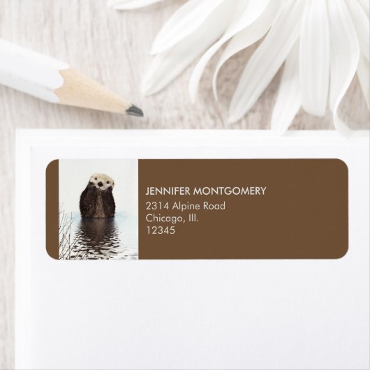 Cute Otter Wildlife Image (Insitu)