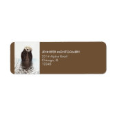 Cute Otter Wildlife Image (Vorne)