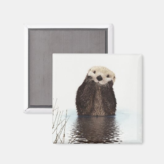 Cute Otter Wildlife Image Magnet (Vorderseite/Rückseite)