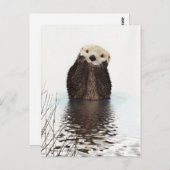 Cute Otter Wildlife Image Postkarte (Vorne/Hinten)