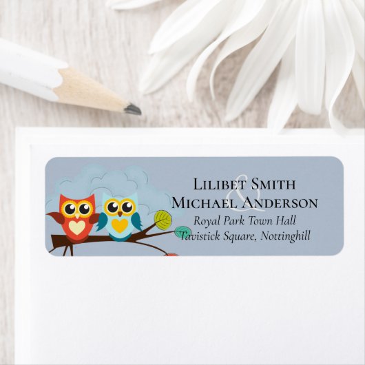 Cute OWLS Themed Wedding Blue Orange (Insitu)