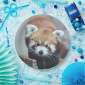 Cute Pappteller (Party)