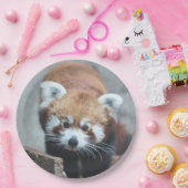 Cute Pappteller (Party)