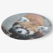 Cute Pappteller (Schrägansicht)