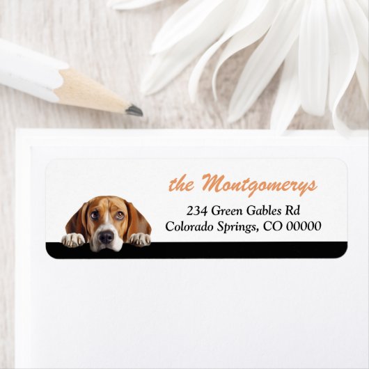Cute Peeking Beagle Dog Return Address (Insitu)