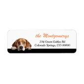Cute Peeking Beagle Dog Return Address (Vorne)