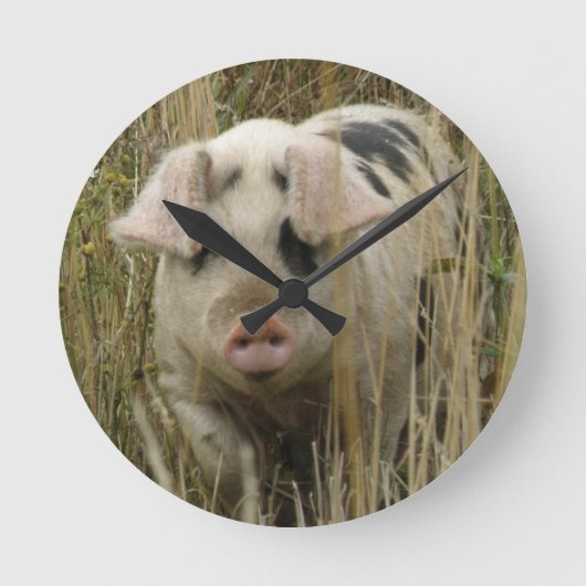 Cute Pig Wall Clock Runde Wanduhr (Vorderseite)