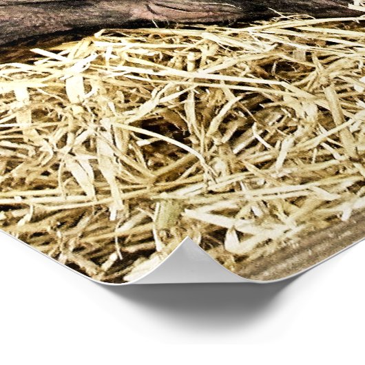 CUTE PIGS POSTER (Ecke)