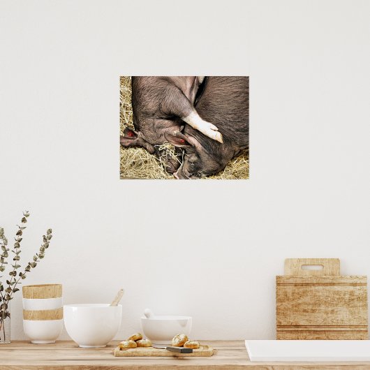 CUTE PIGS POSTER (Küche)