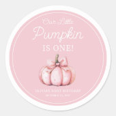 Cute Pink Pumpkin Girl 1st Birthday Runder Aufkleber (Vorderseite)