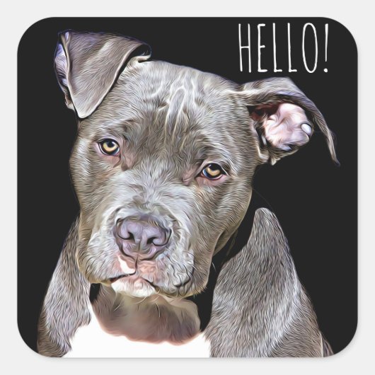 Cute Pit Bull Dog HELLO Stickers (Vorderseite)