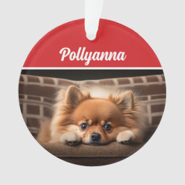 Cute Pomeranian Dog Holiday Christmas Photo Ornament