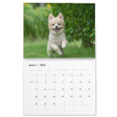 Cute Pomeranians Calendar 2026 Dogs Kalender (Mär 2026)