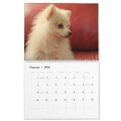 Cute Pomeranians Calendar 2026 Dogs Kalender (Feb 2026)