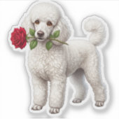 ‏Cute Poodle Dog Aufkleber (Vorderseite)