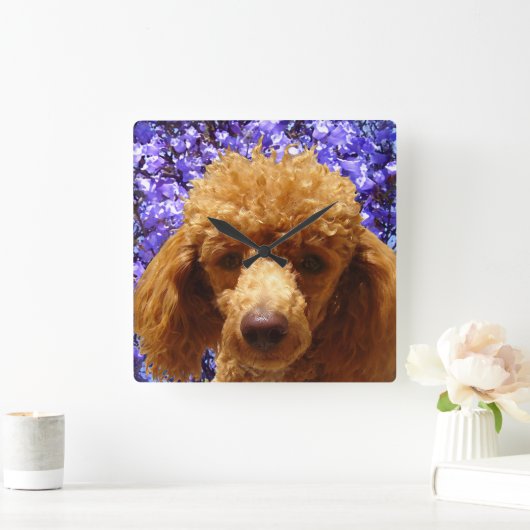 Cute Poodle Quadratische Wanduhr (Zuhause)