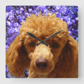 Cute Poodle Quadratische Wanduhr (Vorderseite)