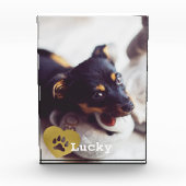 Cute Printed Gold Paw Print Pet Foto (Vorderseite)