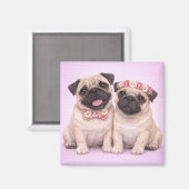 Cute Pug Couple Valentine Illustration  Magnet (Vorderseite/Rückseite)