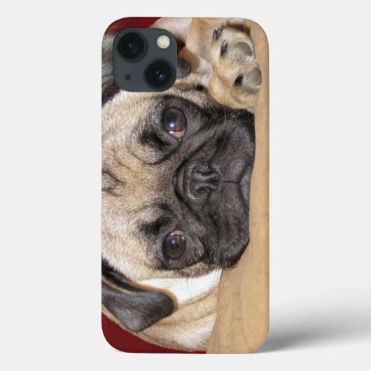 Cute Pug Puppy Case-Mate iPhone Hülle (Rückseite)