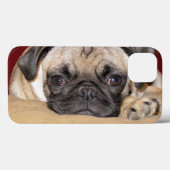 Cute Pug Puppy Case-Mate iPhone Hülle (Rückseite (Horizontal))