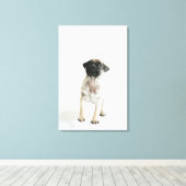 Cute Pug Puppy Leinwanddruck (Insitu (Holzboden))