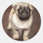 Cute Pug Puppy Photo Runder Aufkleber (Vorderseite)