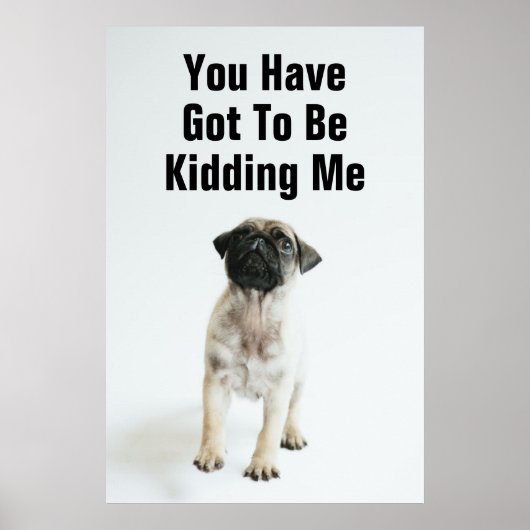 Cute Pug Puppy Poster (Vorne)