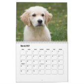 Cute Puppies Calendar Kalender (Mär 2027)