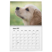Cute Puppies Calendar Kalender (Jan 2027)