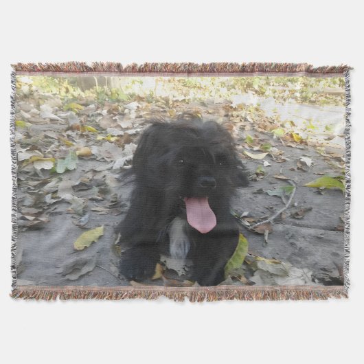 Cute Puppy Alert Decke (Vorderseite)