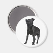 Cute Puppy Black Dog Lovers Brussels Griffon Magnet (Vorderseite/Rückseite)