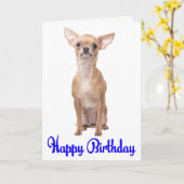 Cute Puppy Dog Chihuahua Happy Birthday Karte (Gelbe Blume)