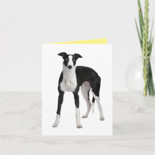 Cute Puppy Dog Greyhound Miss You  Love Hello Karte