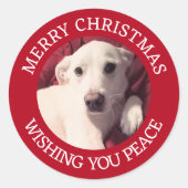 Cute Puppy Dog Merry Christmas Peace Red Runder Aufkleber (Vorderseite)