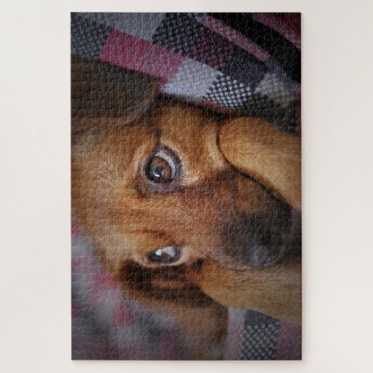 Cute Puppy Dog Puzzle (Vertikal)