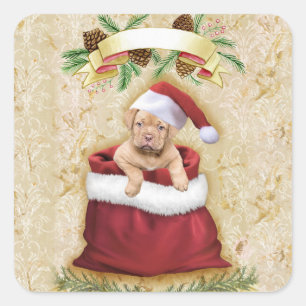 Cute Puppy in a bag with Christmas toys Quadratischer Aufkleber