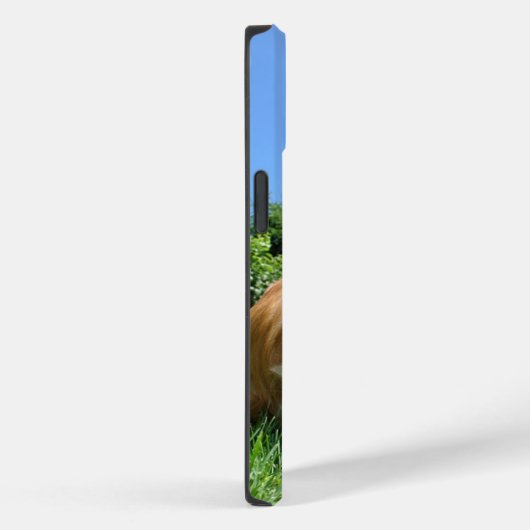 Cute Puppy in Garden Photo Case-Mate iPhone Hülle (Rückseite / Rechts)