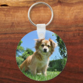 Cute Puppy in Garden Photo Schlüsselanhänger (Rückseite)