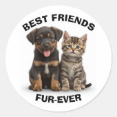 Cute Puppy & Kitten Sticker (Vorderseite)